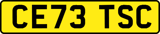CE73TSC
