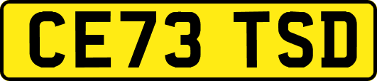 CE73TSD