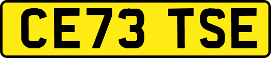 CE73TSE