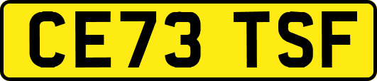 CE73TSF