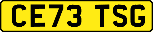 CE73TSG