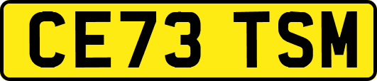 CE73TSM