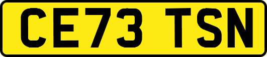CE73TSN