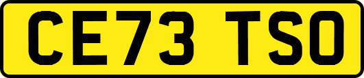 CE73TSO
