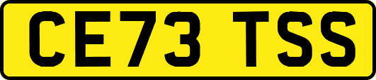 CE73TSS