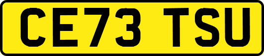 CE73TSU