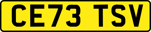 CE73TSV