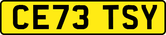 CE73TSY