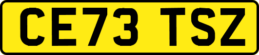 CE73TSZ