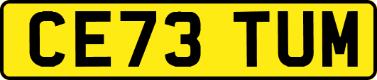 CE73TUM