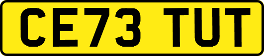 CE73TUT