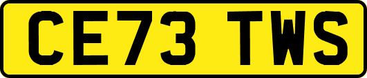 CE73TWS