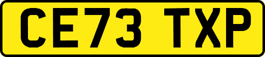 CE73TXP