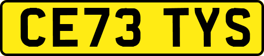 CE73TYS