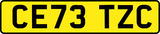 CE73TZC