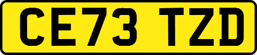 CE73TZD