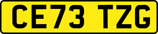CE73TZG