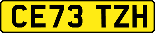 CE73TZH