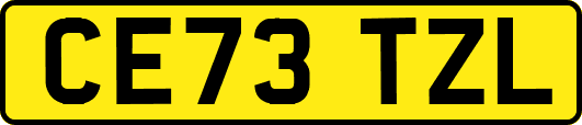 CE73TZL