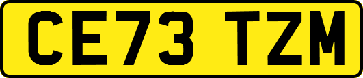 CE73TZM