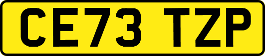 CE73TZP