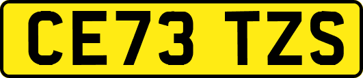 CE73TZS