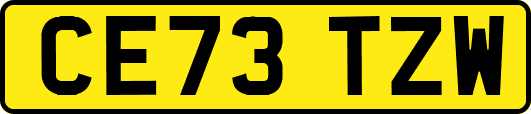 CE73TZW