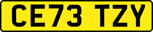 CE73TZY