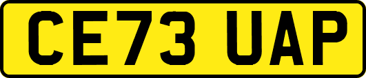 CE73UAP