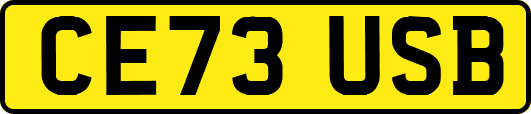 CE73USB