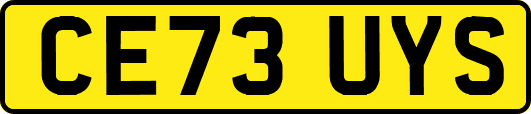 CE73UYS