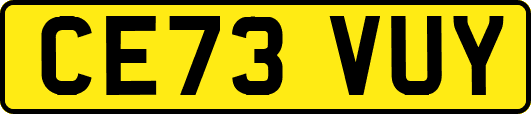 CE73VUY