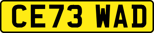 CE73WAD