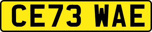 CE73WAE
