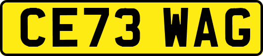 CE73WAG