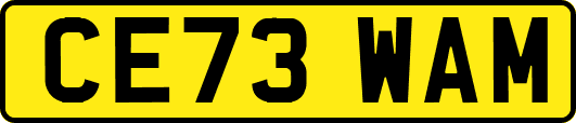 CE73WAM