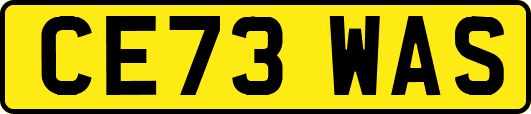 CE73WAS
