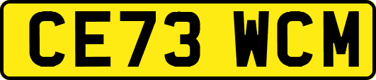 CE73WCM