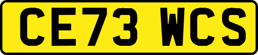 CE73WCS