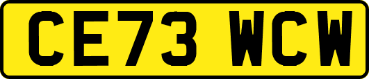 CE73WCW
