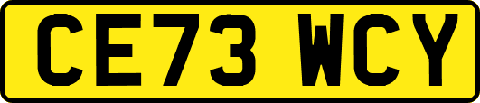 CE73WCY