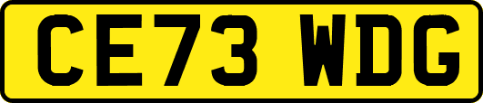 CE73WDG