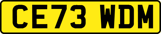 CE73WDM