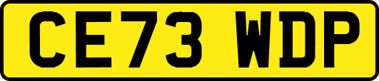 CE73WDP