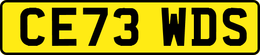 CE73WDS