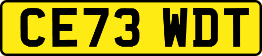 CE73WDT