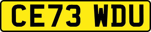 CE73WDU