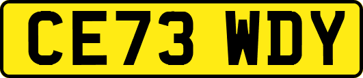 CE73WDY