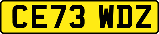 CE73WDZ