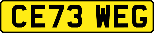 CE73WEG